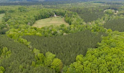 Photo #56 of 3537 Hardy Road, Keysville, VA 39.3 acres