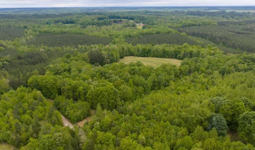 Photo #62 of 3537 Hardy Road, Keysville, VA 39.3 acres