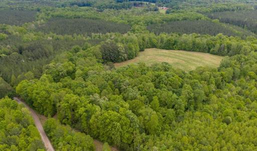 Photo #65 of 3537 Hardy Road, Keysville, VA 39.3 acres