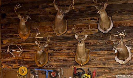 Photo #42 of 258 Peaceful Lane, Dry Fork, VA 99.0 acres