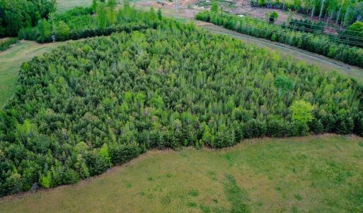 Photo #52 of 258 Peaceful Lane, Dry Fork, VA 99.0 acres