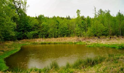 Photo #53 of 258 Peaceful Lane, Dry Fork, VA 99.0 acres