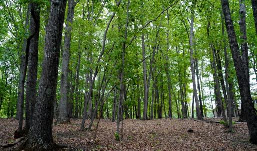 Photo #47 of 258 Peaceful Lane, Cascade, VA 99.0 acres