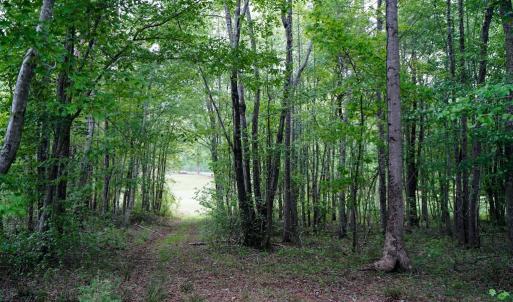 Photo #55 of 258 Peaceful Lane, Cascade, VA 99.0 acres