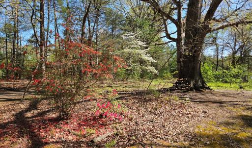 Photo #40 of 508 Kevin Dr, Farmville, VA 0.9 acres