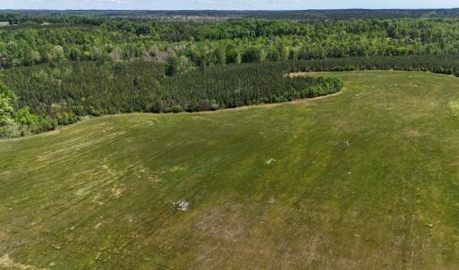Photo #18 of 8 Red Oak Ln, Skipwith, VA 55.6 acres