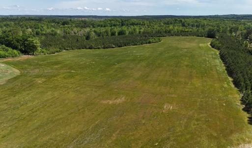 Photo #19 of 8 Red Oak Ln, Skipwith, VA 55.6 acres