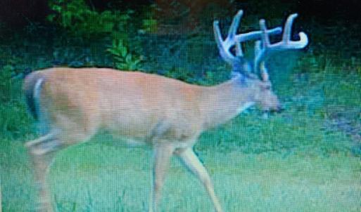 Photo #50 of 8598 W Courthouse Road, Burkeville, VA 100.0 acres