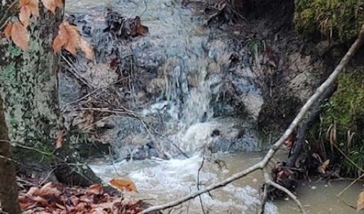 Photo #51 of 8598 W Courthouse Road, Burkeville, VA 100.0 acres