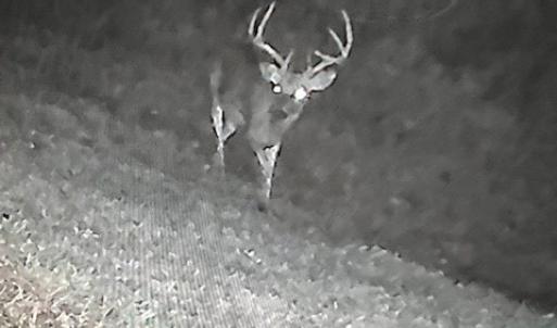 Photo #52 of 8598 W Courthouse Road, Burkeville, VA 100.0 acres