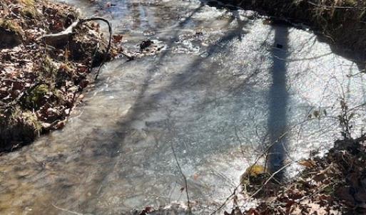 Photo #54 of 8598 W Courthouse Road, Burkeville, VA 100.0 acres