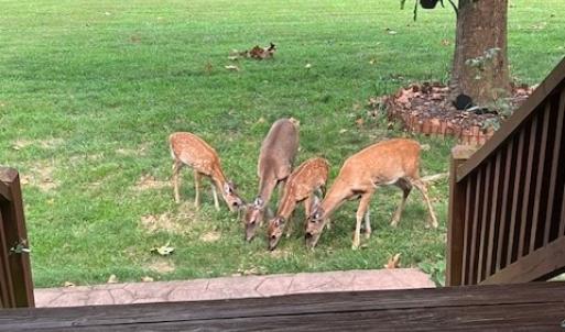 Photo #57 of 8598 W Courthouse Road, Burkeville, VA 100.0 acres