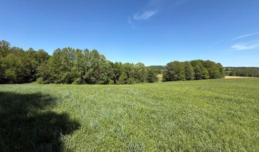 Photo #44 of 1528 Police Tower Rd, Appomattox, VA 23.3 acres