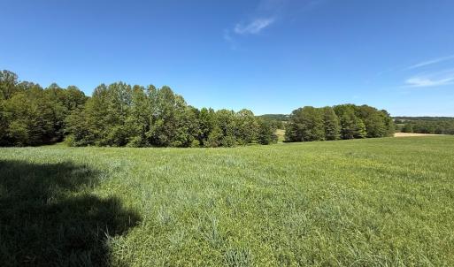 Photo #44 of 1528 Police Tower Rd, Appomattox, VA 23.3 acres