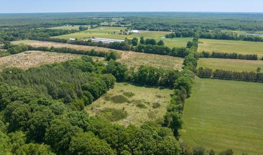 Photo #37 of 525 Raines Tavern Road, Farmville, VA 75.0 acres