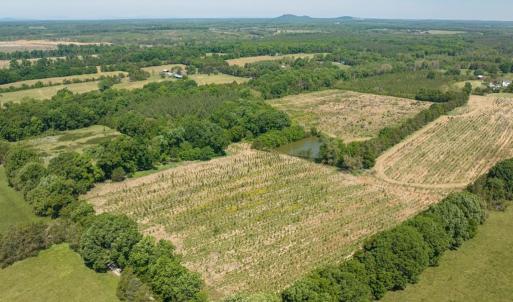 Photo #43 of 525 Raines Tavern Road, Farmville, VA 75.0 acres