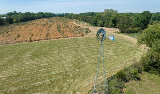 Photo #56 of 525 Raines Tavern Road, Farmville, VA 75.0 acres