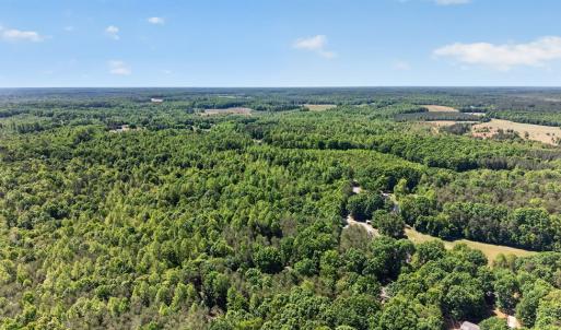 Photo #42 of 56 Victory Lane, Rice, VA 6.3 acres