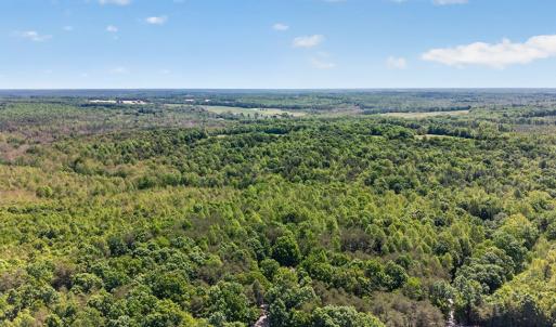 Photo #43 of 56 Victory Lane, Rice, VA 6.3 acres