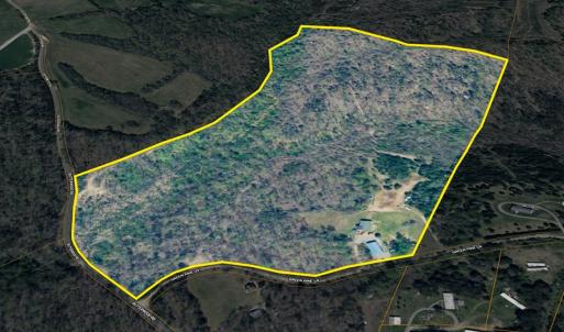 Photo #3 of 245 Green Pine Ln, Charlotte Court House, VA 52.4 acres