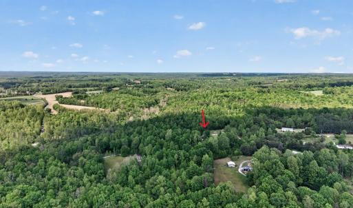 Photo #41 of 245 Green Pine Ln, Charlotte Court House, VA 52.4 acres