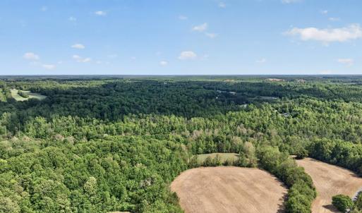 Photo #42 of 245 Green Pine Ln, Charlotte Court House, VA 52.4 acres