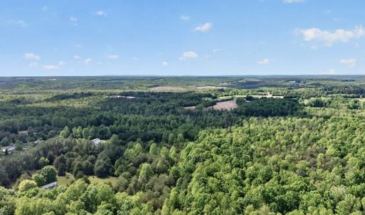 Photo #43 of 245 Green Pine Ln, Charlotte Court House, VA 52.4 acres
