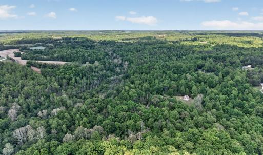 Photo #45 of 245 Green Pine Ln, Charlotte Court House, VA 52.4 acres