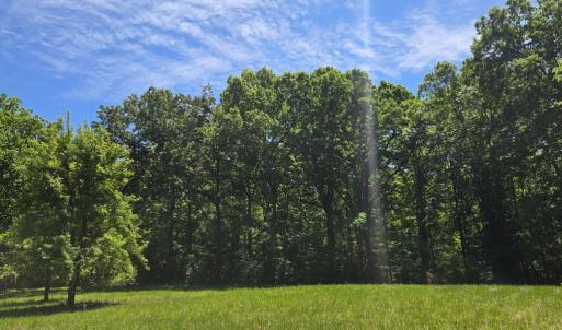 Photo #29 of 6 Mahan, Farmville, VA 1.6 acres