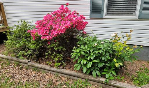 Photo #2 of 981 Scotts Bottom Rd, Dillwyn, VA 10.0 acres