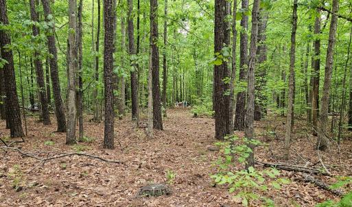 Photo #43 of 981 Scotts Bottom Rd, Dillwyn, VA 10.0 acres