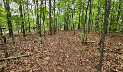 Photo #45 of 981 Scotts Bottom Rd, Dillwyn, VA 10.0 acres