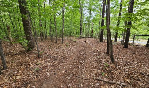 Photo #46 of 981 Scotts Bottom Rd, Dillwyn, VA 10.0 acres