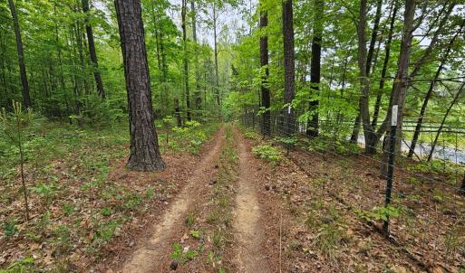 Photo #49 of 981 Scotts Bottom Rd, Dillwyn, VA 10.0 acres