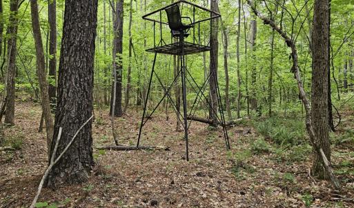 Photo #50 of 981 Scotts Bottom Rd, Dillwyn, VA 10.0 acres