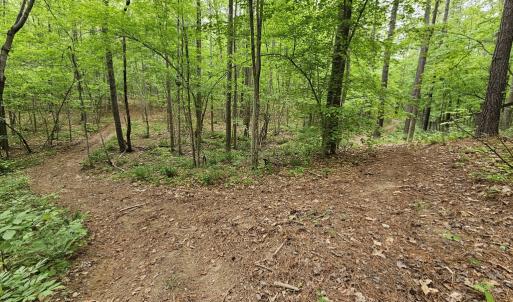Photo #51 of 981 Scotts Bottom Rd, Dillwyn, VA 10.0 acres