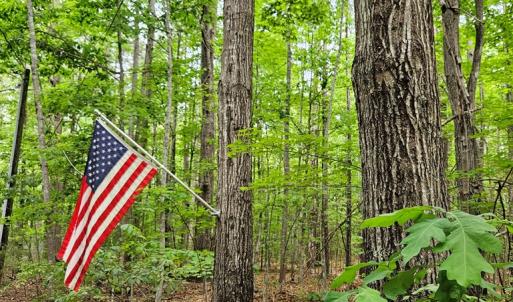 Photo #52 of 981 Scotts Bottom Rd, Dillwyn, VA 10.0 acres