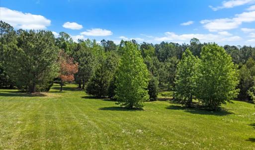 Photo #5 of 523 Three Flags Dr., Kenbridge, VA 4.1 acres