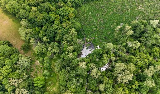Photo #66 of 20180 Poplar Ridge Rd., Amelia Court House, VA 15.1 acres