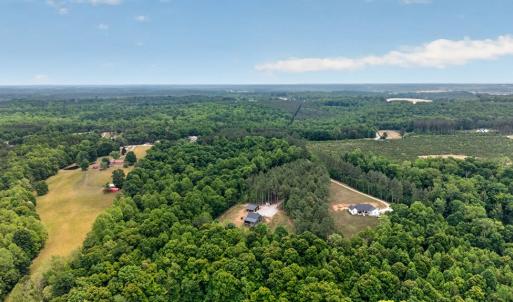 Photo #76 of 20180 Poplar Ridge Rd., Amelia Court House, VA 15.1 acres
