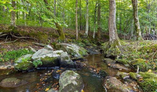 Photo #5 of 2533 Beech Forest Road, Kenbridge, VA 44.0 acres