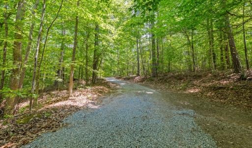 Photo #54 of 2533 Beech Forest Road, Kenbridge, VA 44.0 acres
