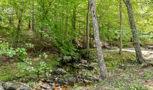Photo #7 of 2533 Beech Forest Road, Kenbridge, VA 44.0 acres