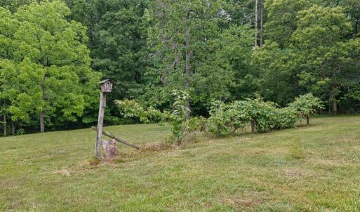Photo #39 of 733 Campbell Crossing Road, Meherrin, VA 10.2 acres