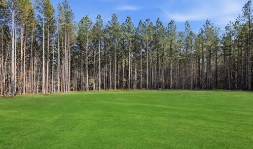 Photo #3 of 2214 Walnut Tree Blvd, Powhatan, VA 4.4 acres