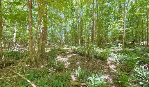 Photo #31 of 2293 Turkey Island Road, Crewe, VA 5.0 acres