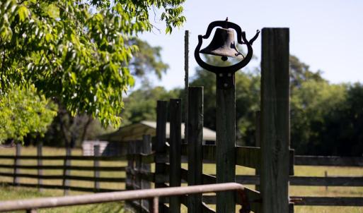 Photo #3 of 248 Pisgah Church, Rice, VA 31.8 acres