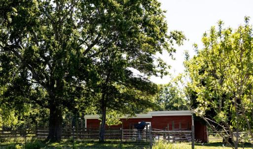 Photo #56 of 248 Pisgah Church, Rice, VA 31.8 acres