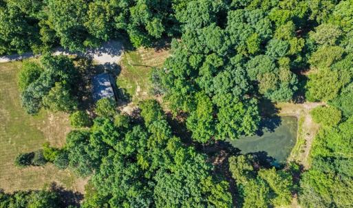 Photo #37 of 2829 Winningham Road, Crewe, VA 5.6 acres