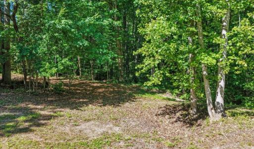 Photo #38 of 2829 Winningham Road, Crewe, VA 5.6 acres